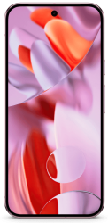 Google Pixel 9 Pro XL Image