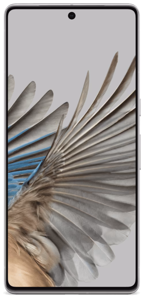 Google Pixel 7 Pro Image