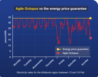 Graph shows how electricity rates for Agile Octopus compared with the Energy Price Guarantee rates in the Midlands region between 13 and 19 February. While the Guarantee remained static at 33.83p a kilowatt hour, rates for Agile Octopus fluctuated over this time, and at points over the weekend even dropped to between 10 and 15p a kilowatt hour.