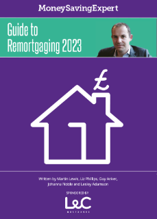 Download a copy of MoneySavingExpert's remortgage PDF