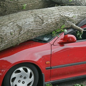 Storm or flood damage