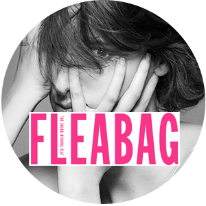 fleabag theatre show