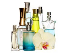 Cheap Perfume guide