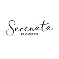 Mother's Day bouquets for £17 couriered via code