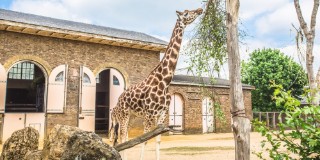 Zoo & Wildlife Park deals