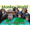 Free entry to Monkey World