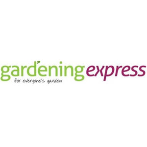 Pack of 25 lily OR 100 gladioli bulbs for £10 delivered (norm £26-£36)