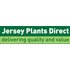 2 lucky-dip hanging baskets £22 delivered