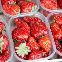 Fresh strawberries & cream round-up
