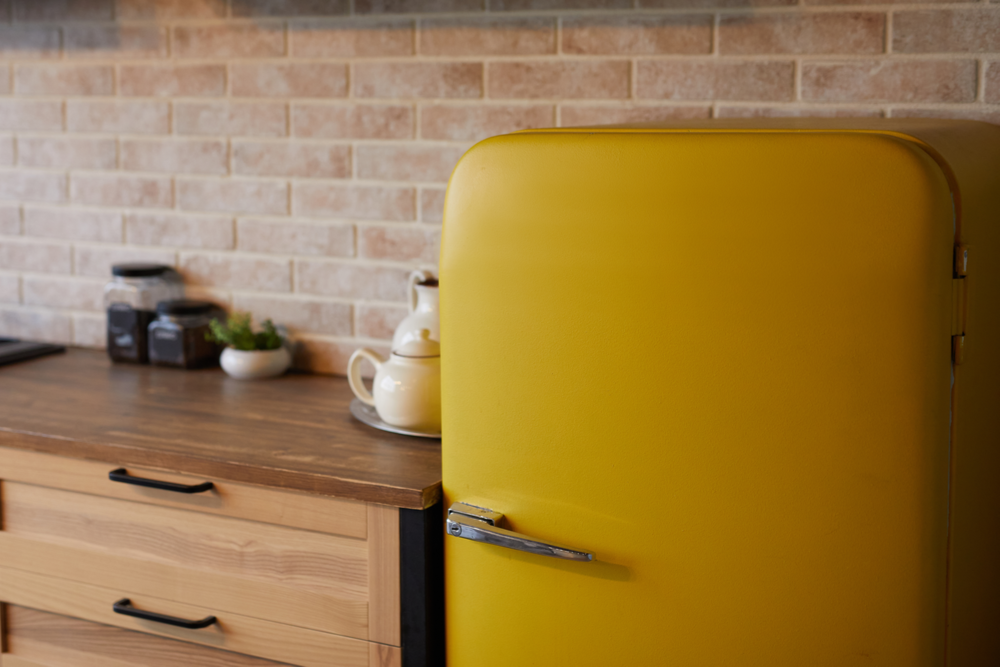 Home Appliance Insurance MSE