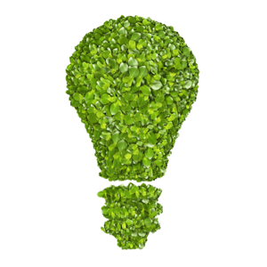 green tariffs