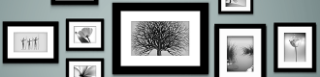 special picture strips