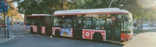 bus
