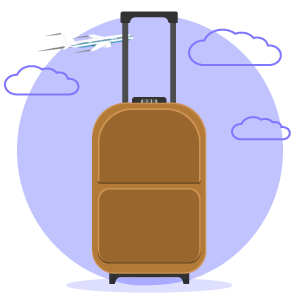 hand luggage