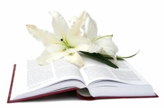 An open book with a white lily laying on the pages.