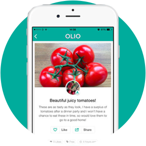 Olio. Beautiful juicy tomatoes.