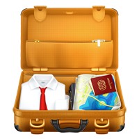 suitcase
