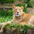 Zoo & Wildlife Park deals