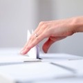 The electoral roll