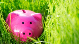 Home & Garden deals