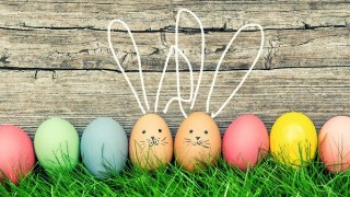 MSE's epic Easter egg taste test