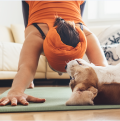 How to keep fit for free via YouTube, Instagram, apps etc