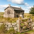 House auctions