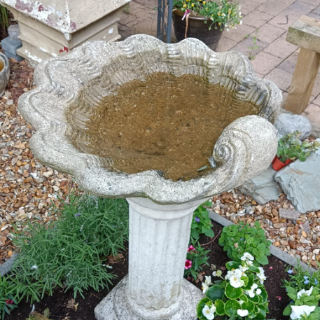 Berlin, bailiffs &amp; bird baths – this week&#39;s MSE Forum highlights