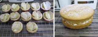 Sponge cake and butterfly cakes dusted with icing sugar