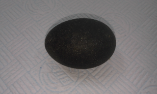 A black duck egg on top of some kitchen towel