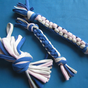 MoneySaving homemade pet toy ideas