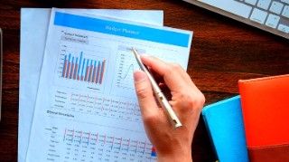 The Budget Planner