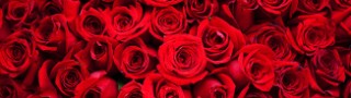 Last-minute Valentine’s offers, incl £3 roses & free cocktail – MSE Coupon Kid Jordon Cox’s deals of the day