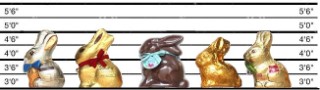 Chocolate bunny hops to the top of our taste test…
