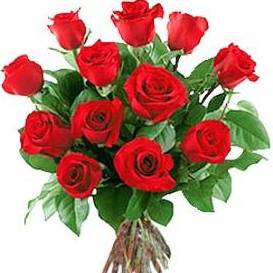 A dozen red roses from £4