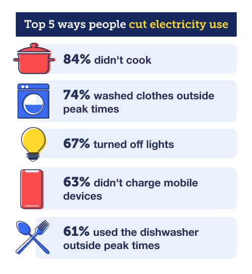 An infographic listing the top five ways people cut their electricity use according to an MSE survey. 84% of those surveyed didn't cook, 74% washed clothes outside of peak times, 67% turned off lights, 63% didn't charge mobile devices and 61% used the dishwasher outside of peak times. The image links to the MSE News story about this survey, which is titled: "The top 10 ways households cut their energy use to earn rewards – and which firms paid the most".