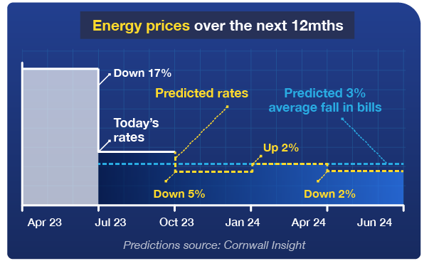 A graph titled 'Energy prices over the next 12 months'. It shows that current energy prices have dropped 17% since April 2023. Analysts at Cornwall Insight predict a 5% drop on today's rates between October 2023 and January 2024, a 2% increase between January and April 2024, before a 2% drop between April and June 2024. It predicts that bills will fall by 3% on average over the next 12 months. Graph links to our 'Should I fix my energy or stay on the price cap?' guide.