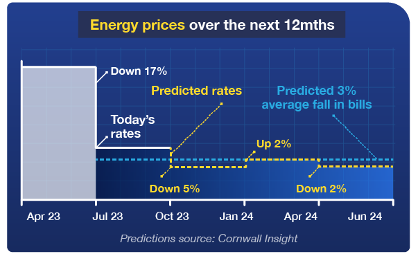 A graph titled 'Energy prices over the next 12 months'. It shows that current energy prices have dropped 17% since April 2023. Analysts at Cornwall Insight predict a 5% drop on today's rates between October 2023 and January 2024, a 2% increase between January and April 2024, before a 2% drop between April and June 2024. It predicts that bills will fall by 3% on average over the next 12 months. Graph links to our 'Should I fix my energy or stay on the price cap?' guide.