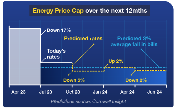 A graph titled 'Energy Price Cap over the next 12 months'. It shows that current energy prices have dropped 17% since April 2023. Analysts at Cornwall Insight predict a 5% drop on today's rates between October 2023 and January 2024, a 2% increase between January and April 2024, before a 2% drop between April and June 2024. It predicts that bills will fall by 3% on average over the next 12 months. Graph links to our 'Should I fix my energy or stay on the price cap?' guide.