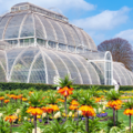 Kew Gardens FREE entry for NHS & emergency services