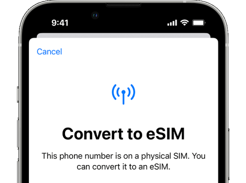 MSE's What is an eSim? guide.
