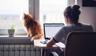 Girl student freelancer working at home on a task, the cat is sitting on the window